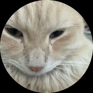 Meet your Posher, Lizzy